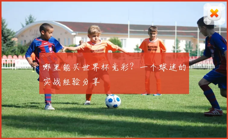 哪里能买世界杯竞彩？一个球迷的实战经验分享