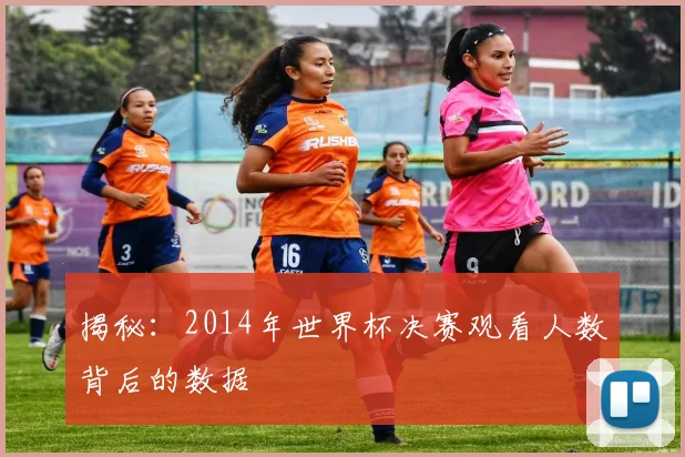 揭秘:2014年世界杯决赛观看人数背后的数据