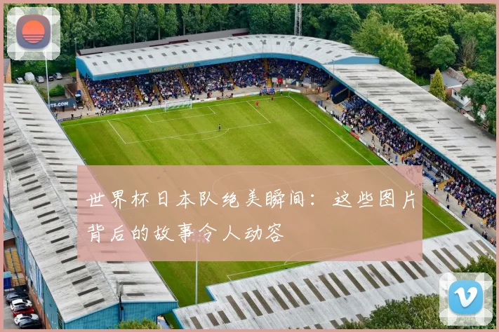 世界杯日本队绝美瞬间:这些图片背后的故事令人动容