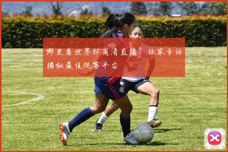 哪里看世界杯高清直播?独家专访揭秘最佳观赛平台