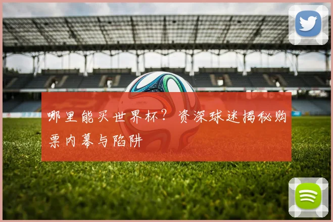 哪里能买世界杯？资深球迷揭秘购票内幕与陷阱