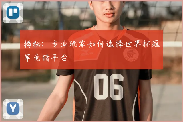 揭秘：专业玩家如何选择世界杯冠军竞猜平台