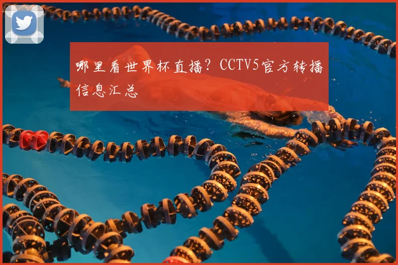 哪里看世界杯直播？CCTV5官方转播信息汇总