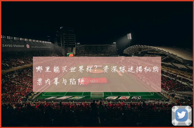 哪里能买世界杯？资深球迷揭秘购票内幕与陷阱