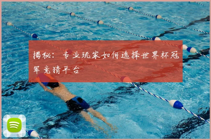 揭秘：专业玩家如何选择世界杯冠军竞猜平台