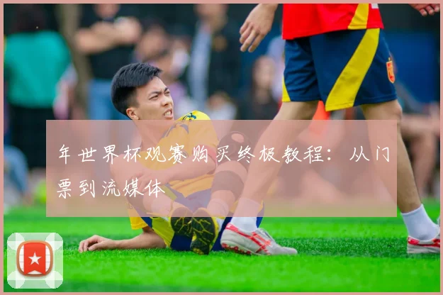 年世界杯观赛购买终极教程:从门票到流媒体