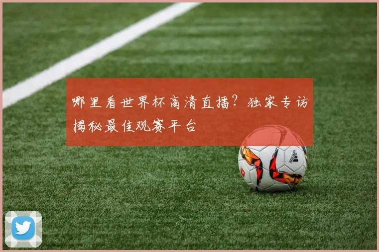哪里看世界杯高清直播？独家专访揭秘最佳观赛平台